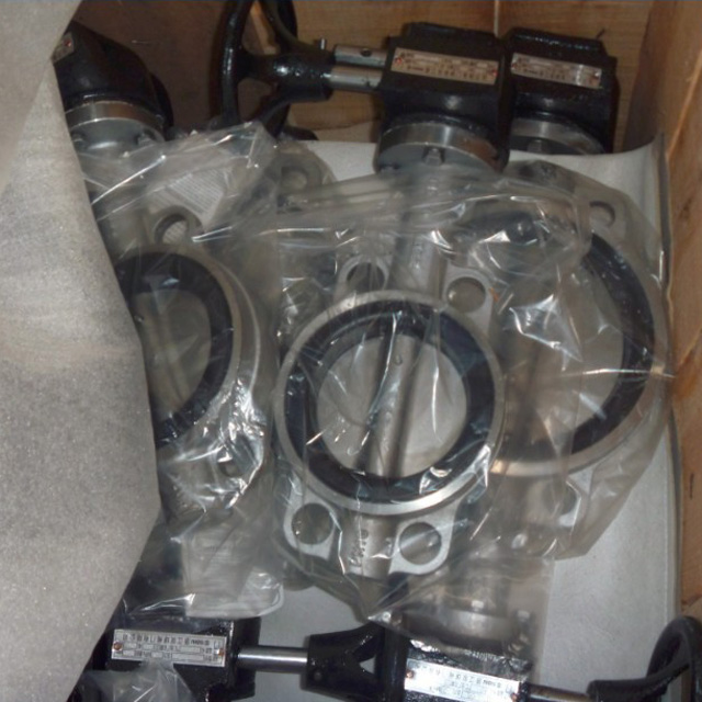 D373W不鏽鋼渦輪對夾蝶閥